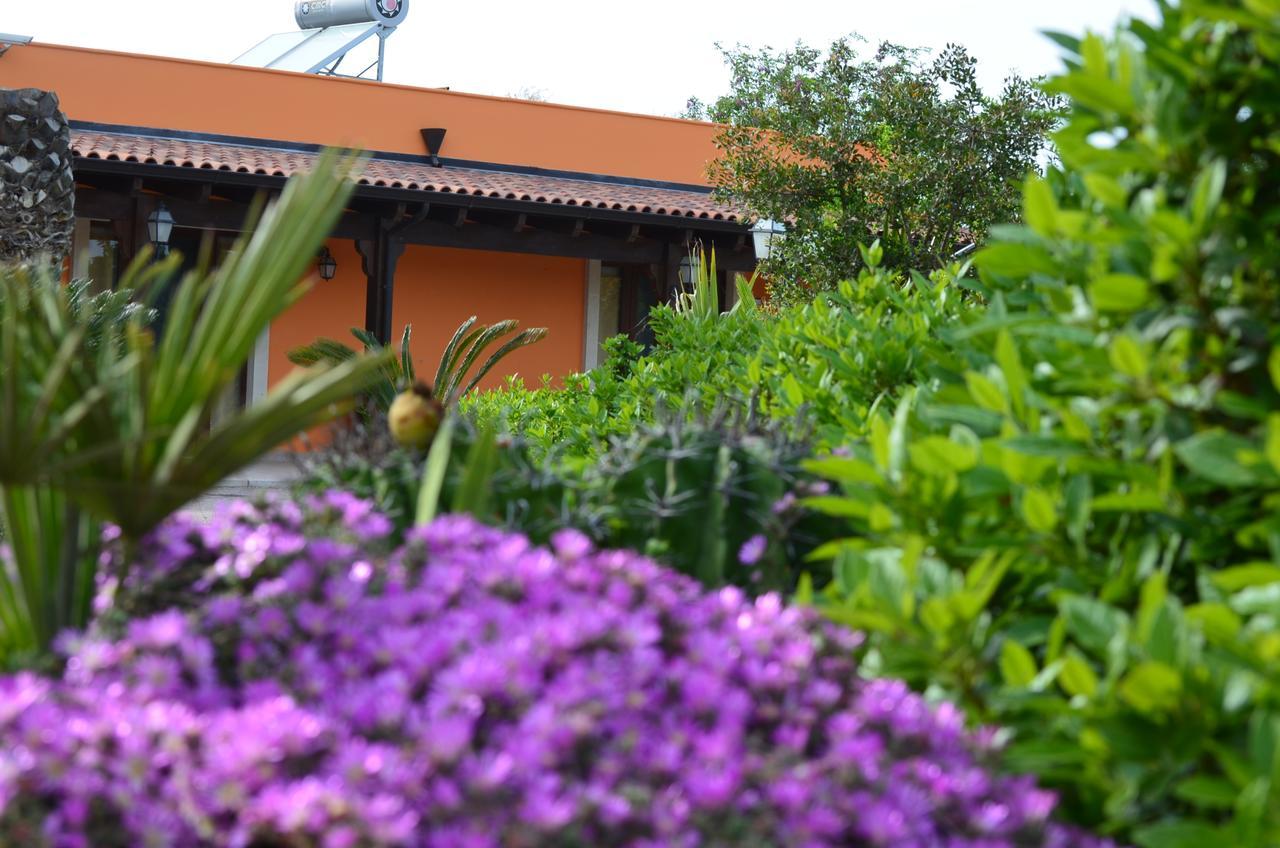 Relais La Giara Guest House Manduria Ngoại thất bức ảnh